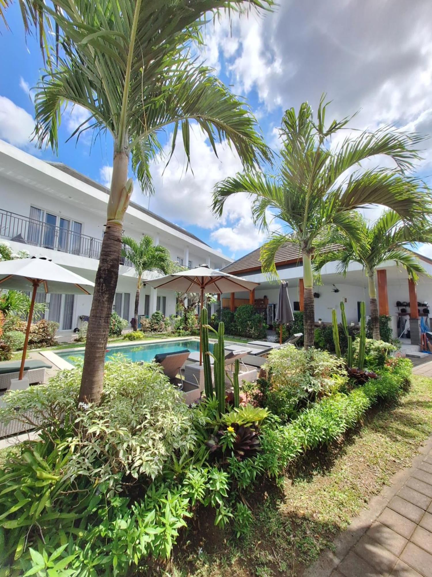 Bonewood Guesthouse Canggu  Exterior photo